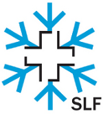 SLF logo SLF logo